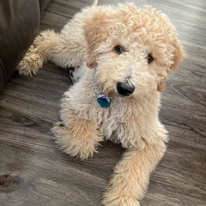 Meet your Posher, Jen